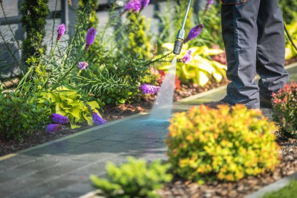 Best Driveway Cleaning and Restoration in Mcgovern, PA